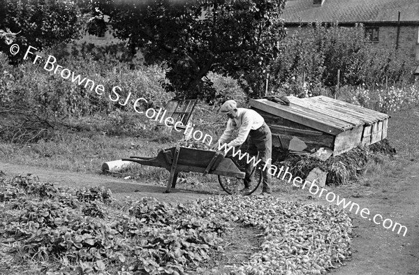 IN THE GARDEN OF ST MARY'S NED DEEGAN